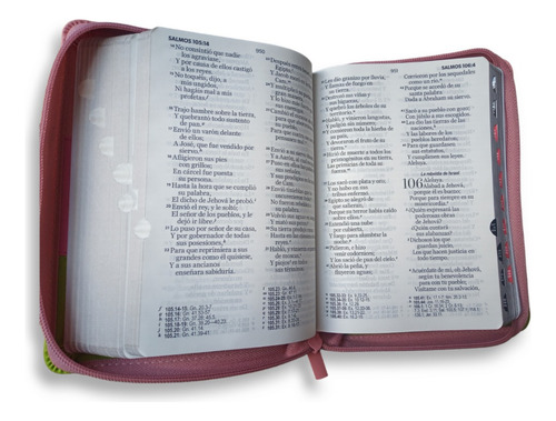Biblia Rvr1960 Juvenil 11 Puntos Dama C/c E Indice 3 Tonos