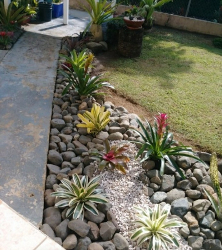 Imagen 8 de 10 de Servicio De Jardinería