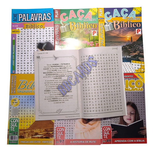 Caça Palavra Bíblico, De Equipe Editorial. Passatempos Bíblicos, Acompanha 300 Volumes Diferentes. Editorial Castelo, Capa Mole, Edição 1 Em Português, 2024