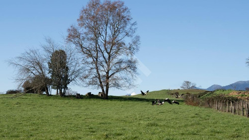 Sitios En Venta En Panguipulli
