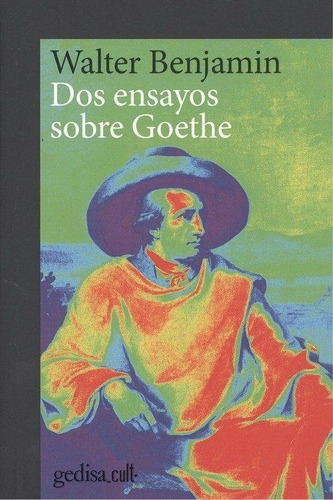 Dos Ensayos Sobre Goethe Walter Benjamin Gedisa