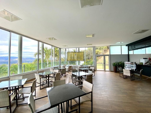 Lote 1.037 M² - Excelente Topografia - Quintas Do Sol - 6031