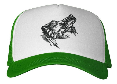 Gorra Dibujo De Sapo