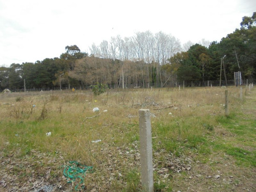 Terreno En Venta En San Bernardo