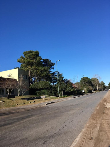 Imagen 2 de 5 de Excelente Local Con 2 Deptos Pinamar