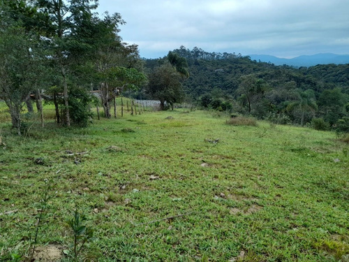 Imagem 8 de 10 de Realize O Sonho Da Casa Própria Agora