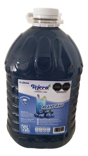 Jarabe Concentrado Tejero Galón De 5 Litros 1 Pieza Sabores