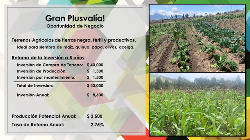 Lotes Terrenos En Malchingui