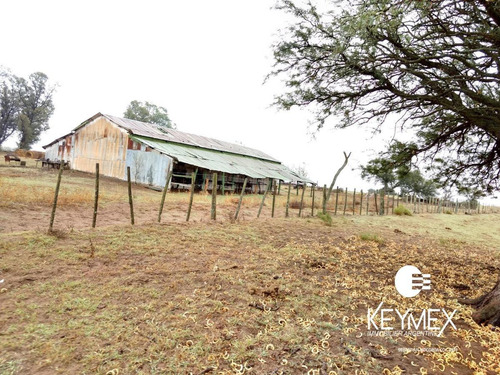 Imagen 8 de 10 de Campo Ganadero - Nueva Galia - Dupuy - San Luis