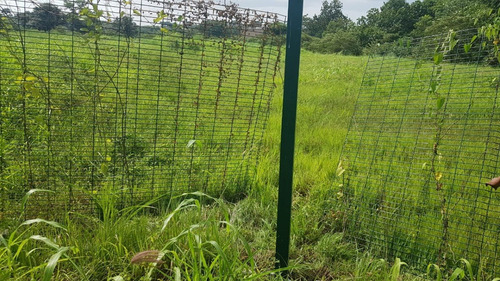 Oportunidad En Vía Tocumen, Venta O Alquiler De Terreno Con 7500m2
