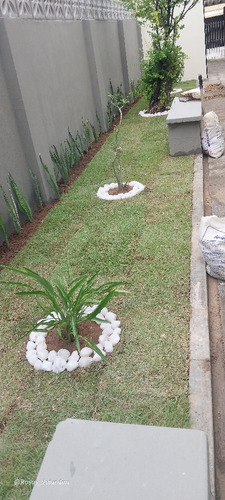 Jardineiro Profissional