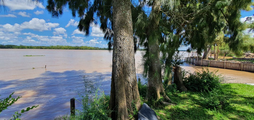 Imagen 4 de 7 de Terreno En Venta Delta Tigre Sobre Paraná De Las Palmas