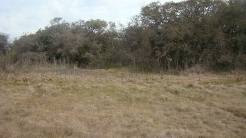 Imagen 9 de 10 de 93 Has Punta Indio - Buenos Aires