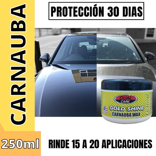 Cera En Pasta Carnauba Dual Care 250cc Automovil Moto