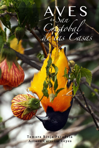 Libro De Fotografía Aves De San Cristóbal De Las Cas Lrf