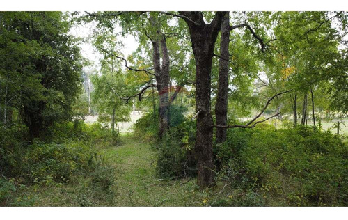 Plot In Pucón, Los Riscos Safe Investment