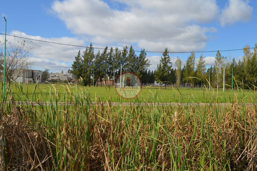 Imagen 5 de 30 de Terreno Lote En Venta Ubicado En Manuel B Gonnet, La Plata