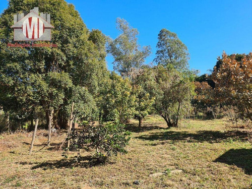 Imagem 6 de 30 de Ótima Chácara Com 2 Dormitórios, Córrego Nos Fundos, Pomar, Acesso Asfaltado, À Venda, 2000 M² Por R$ 280.000 - Rural - Socorro/sp - Ch1005