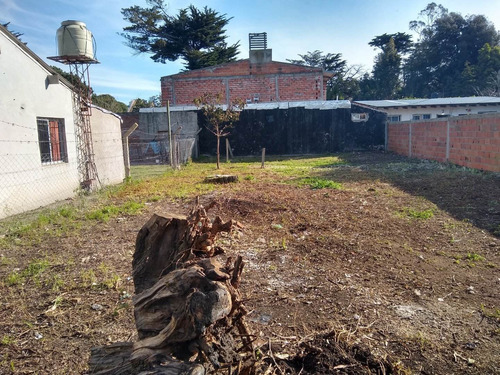 Imagen 9 de 10 de Latorre Prop. Vende Lote Sobre Av. Beltran C/mejoras -planos- Escriturado