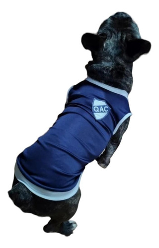 Camiseta De Quilmes Para Perros Y Gatos Talle M