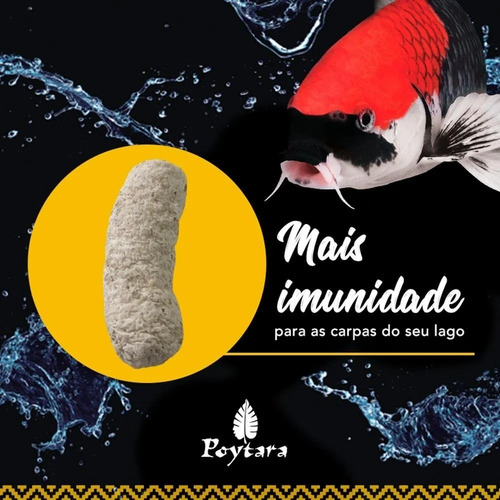 Imagem 4 de 7 de Ração Para Carpas Poytara Mix Premium 6x1 Lago Peixe - 6 Kg