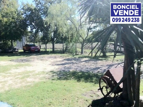 Excelente Casa Con Apartamento Y Galpón Sobre Ruta 5 K32