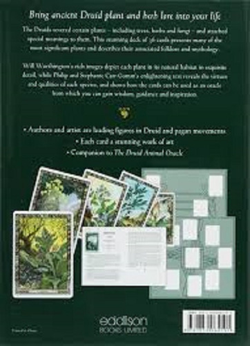 The Druid Plant Oracle Brinde Cartas Caminho Sagrado