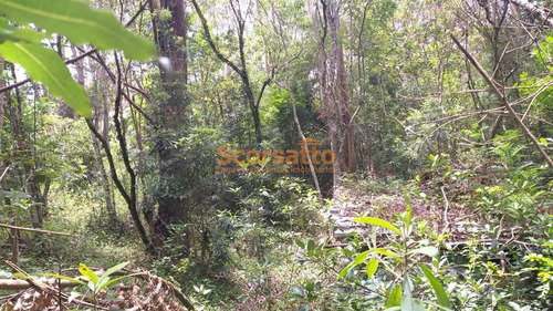 Imagem 20 de 27 de Chácara À Venda, Jardim São Marcos, Itapecerica Da Serra/sp - 4893