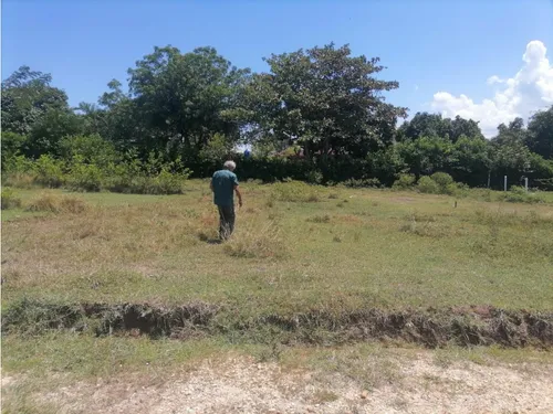Vendo Lote En Carmen De Apicala