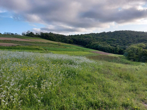 Imagem 4 de 15 de 11o- Terreno De 500m2 Em Cotia Agende Sua Visita Via Whatsapp!