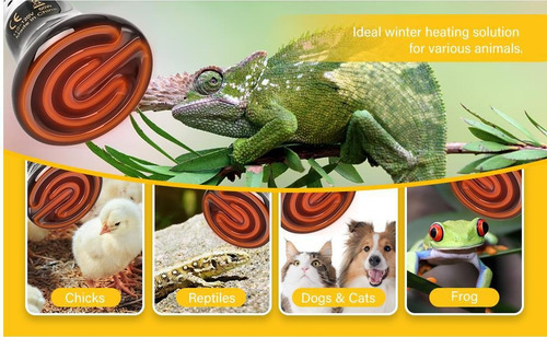 Ampolleta De Calor Para Mascotas, Reptiles, Anfibios.