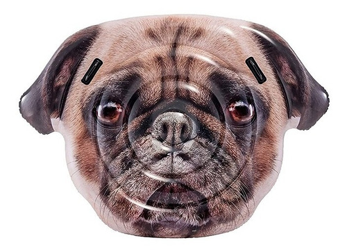 Imagen 1 de 8 de Inflable Para Pileta Intex Perrito