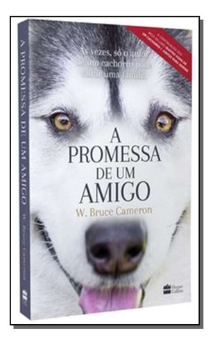 A Promessa De Um Amigo