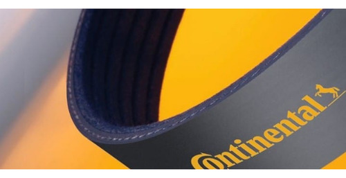Correia Em Poly-v Elite 4pk 0815