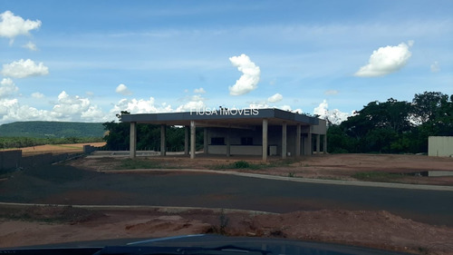 Imagem 17 de 22 de Terreno - Te00076 - 70424022