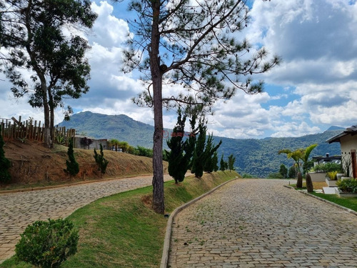 Imagem 1 de 14 de Terreno Com 600 M² Em Condomínio De Alto Padrão No Parque Do Imbuí - Teresópolis/rj. - Te00465 - 70716144