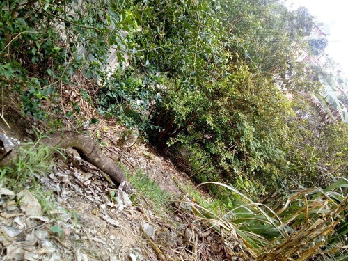 Imagem 5 de 5 de Terreno Em Jardim Paulista - Itapevi - 37334