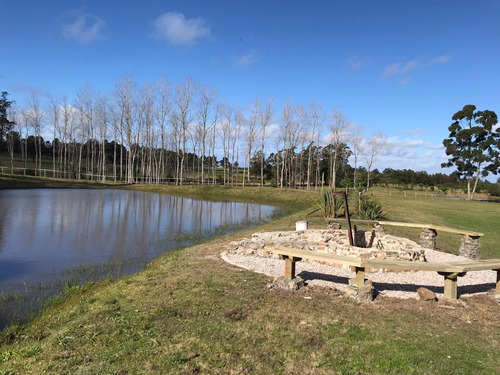 Quinta | Camino Al Golf