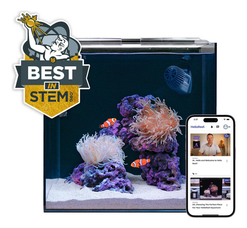 Kit Acuario Agua Salada Pez Payaso 15 Galones Led Inteligent Negro (clear & Black)