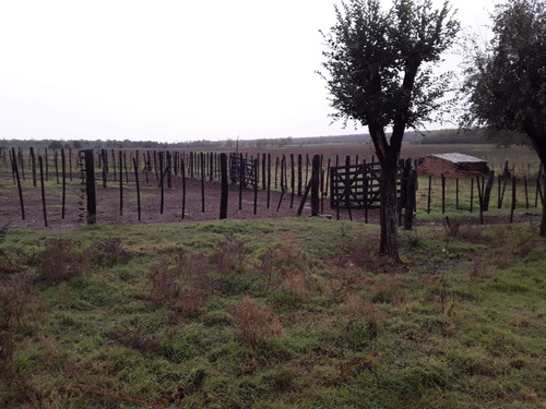Campo Ganadero 610 Ha, Traslasierra, A Pocos Km De Cura Brochero Con Casa Empleados. U$s 1.312/ha