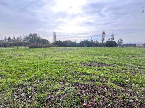 Algarrobal, Chicureo Poniente (im)