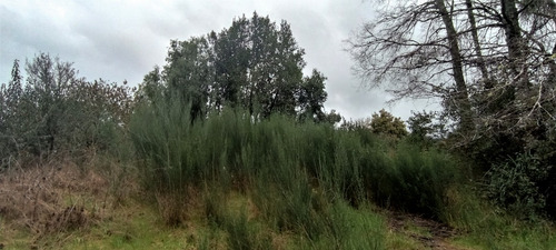 Terreno 2 Hectáreas,ruta 5, Los Lagos $180.000.000