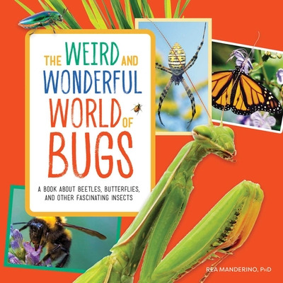 Libro The Weird And Wonderful World Of Bugs: A Book About...