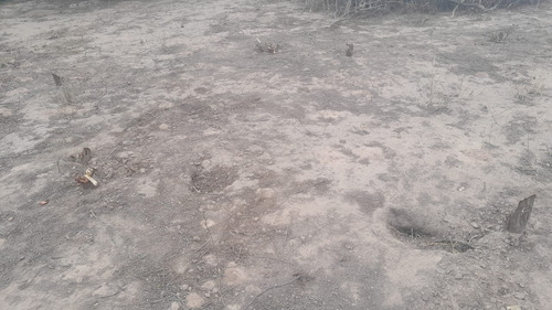 Vendo Finca En Tolloche (recibo Permutas)