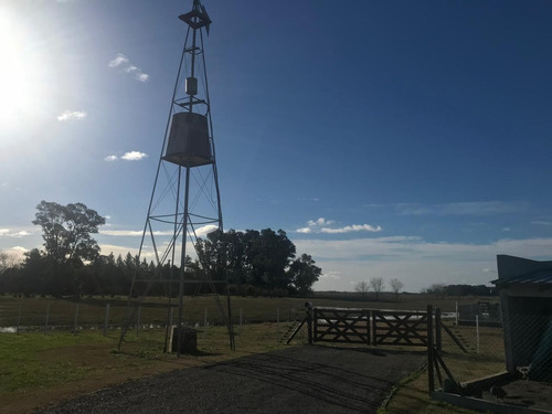 Imagen 10 de 29 de Campo En Venta En Magdalena Ruta 11 Dacal Bienes Raices