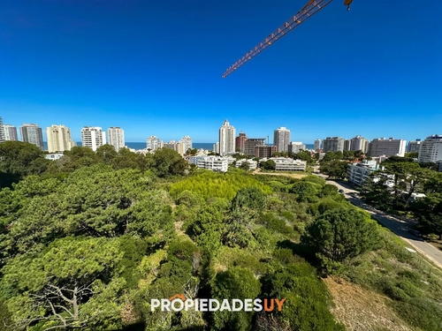 Un Nuevo Concepto De Edificio. View Ii. A Pasos De Todo!