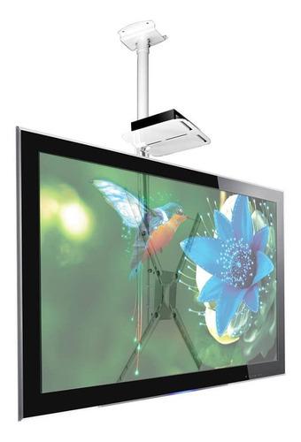 Soporte De Techo Tv + Sop. Deco Gratis 10 A 50 - Sbrp150