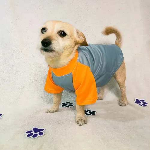 Camisetas Para Mascotas