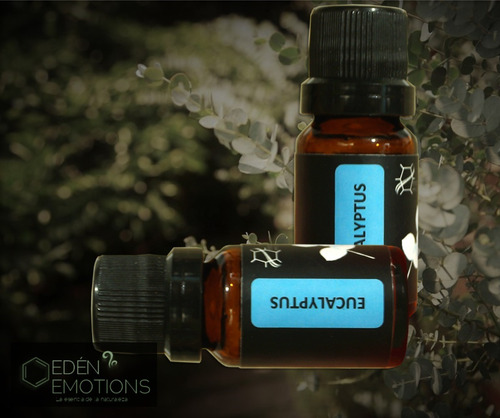 Aceite Esencial Eucalipto 100% Natural Y Puro 11 Ml