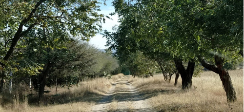 Imagen 23 de 26 de Terreno En Venta Para Inversionistas En La Localidad De Jofrito En Querètaro.
